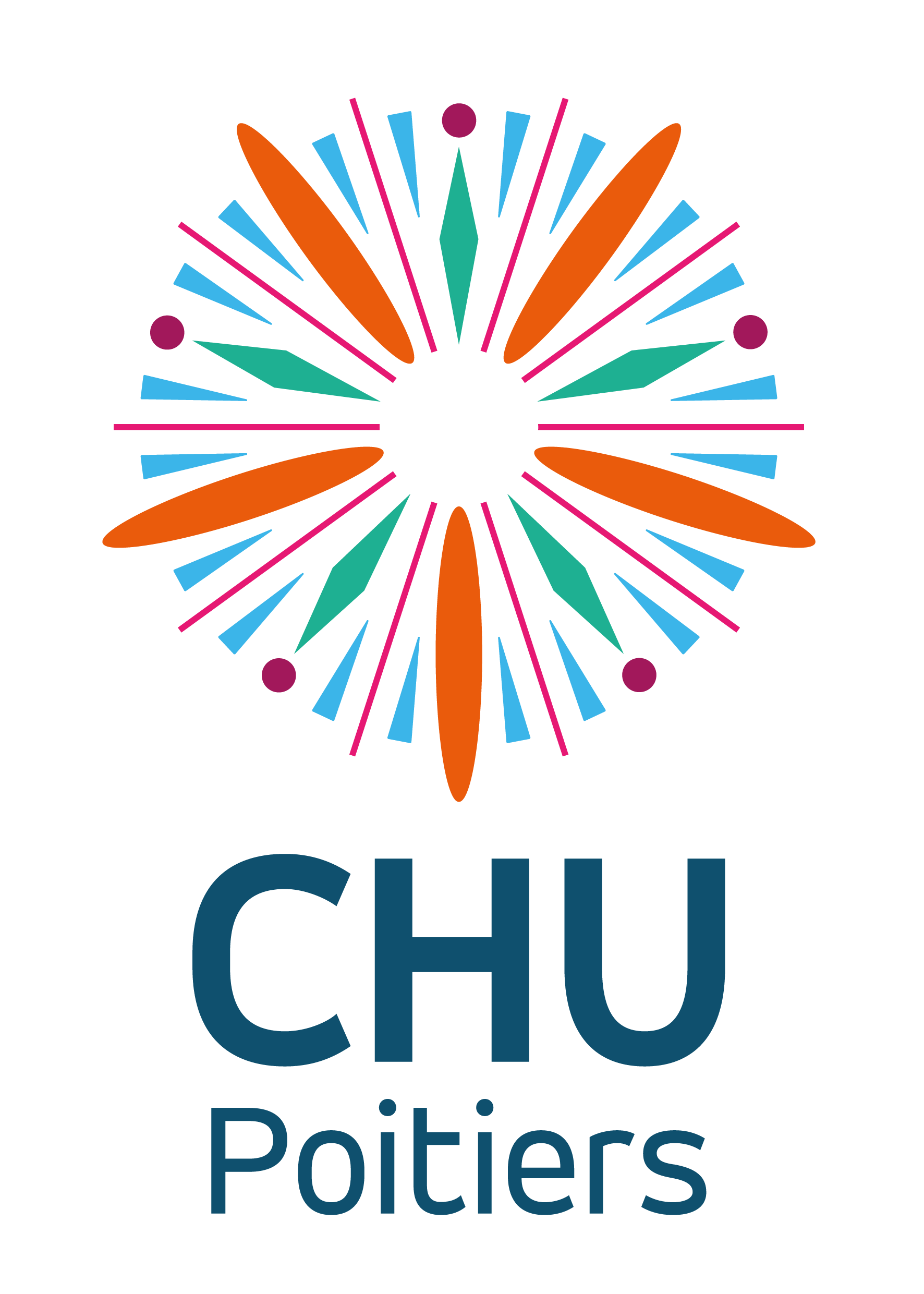 logo vertical CHU Poitiers charte graphique