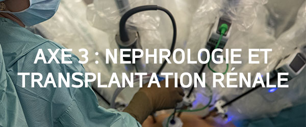 Axe recherche nephrologie transplantation rénale